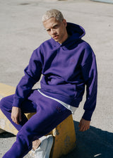 Ανδρικό μακρυμάνικο φούτερ Two Brothers - BF-25580-purple regular fit