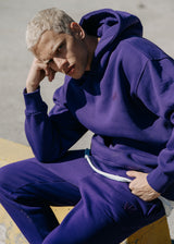 Ανδρικό μακρυμάνικο φούτερ Two Brothers - BF-25580-purple regular fit